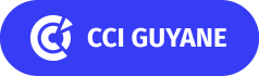 logo_cci guyane logo_cci guyane